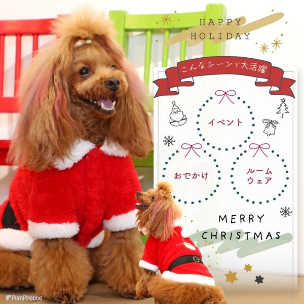 画像2: 【ポイント10倍で会員様はお得】 フレンチサンタコート 犬猫兼用【4・5号】 (2)