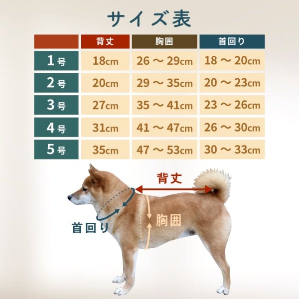 画像20: 【ポイント10倍で会員様はお得】 フレンチサンタコート 犬猫兼用【4・5号】 (20)