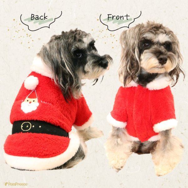 画像3: 【ポイント10倍で会員様はお得】 フレンチサンタコート 犬猫兼用【4・5号】 (3)