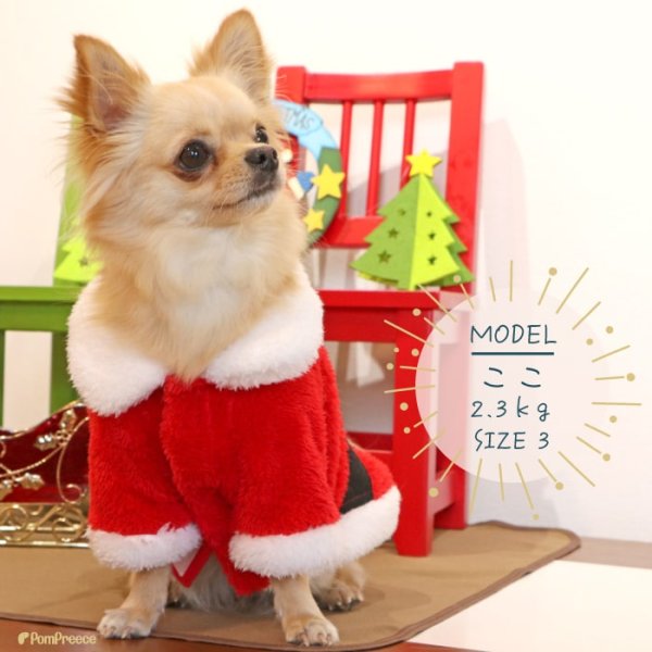 画像4: 【ポイント10倍で会員様はお得】 フレンチサンタコート 犬猫兼用【4・5号】 (4)