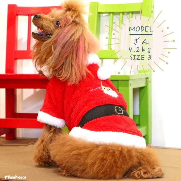 画像6: 【ポイント10倍で会員様はお得】 フレンチサンタコート 犬猫兼用【4・5号】 (6)