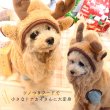 画像5: 【ポイント10倍で会員様はお得】ハッピートナカイコート 犬猫兼用 【1〜3号】 (5)