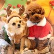 画像2: 【ポイント10倍で会員様はお得】ハッピートナカイコート 犬猫兼用 【1〜3号】 (2)