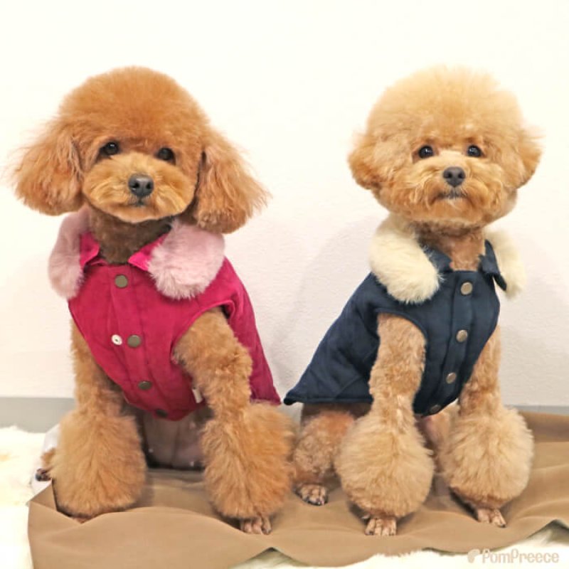 画像4: 【クリアランスセール】取り外しファー付き あったかコート 【2〜5号】　※返品・交換不可 (4)