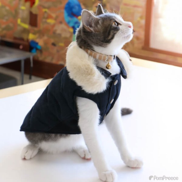 画像6: 【クリアランスセール】取り外しファー付き あったかコート 【2〜5号】 (6)