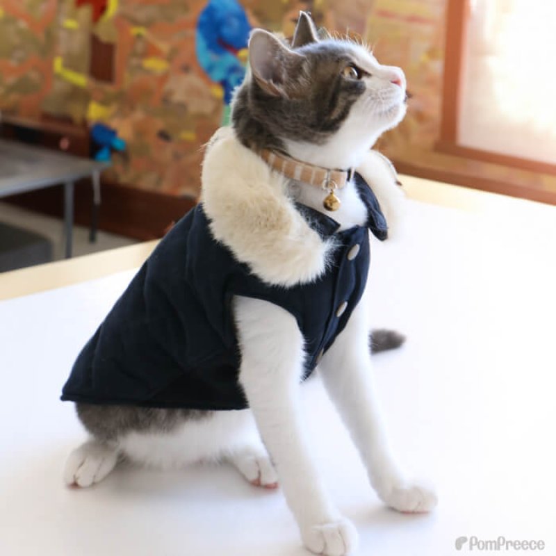 画像6: 【クリアランスセール】取り外しファー付き あったかコート 【2〜5号】　※返品・交換不可 (6)