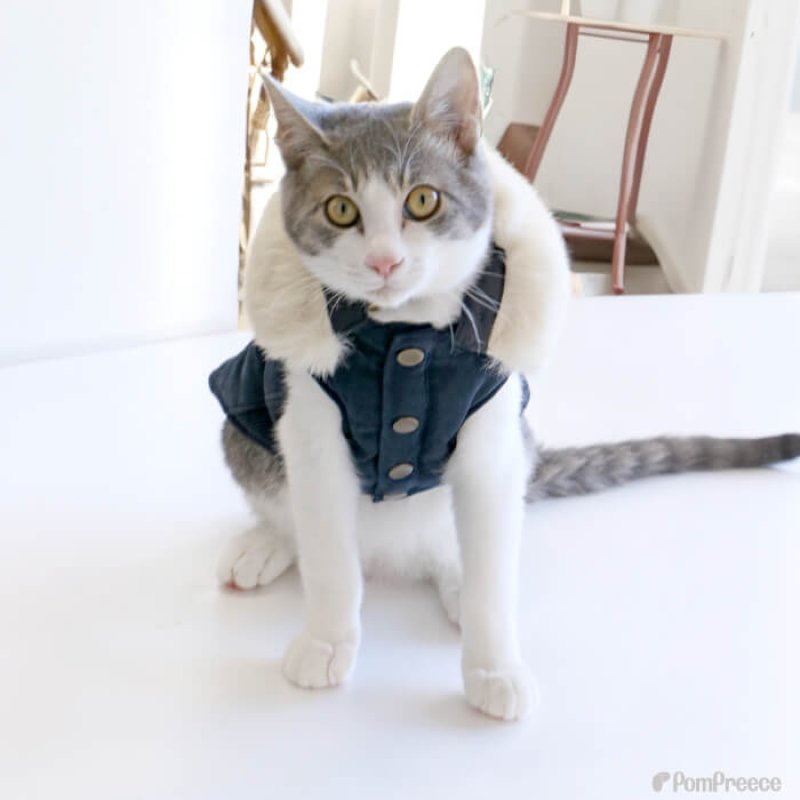 画像8: 【クリアランスセール】取り外しファー付き あったかコート 【2〜5号】　※返品・交換不可 (8)