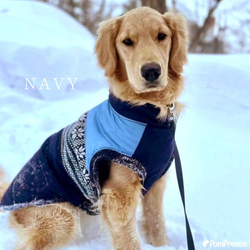 画像4: 【クリアランスセール】大型犬用 ジャガードニット 保温コート 【9号】※返品交換不可 (4)