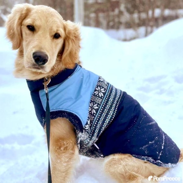 画像5: 【クリアランスセール】大型犬用 ジャガードニット 保温コート 【9号】※返品・交換不可 (5)