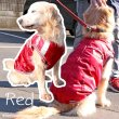 画像3: 【クリアランスセール】犬用ウエア 背中ジップアップで着せ易いスカジャン（中・大型犬用）【6〜10号】※返品・交換不可 (3)