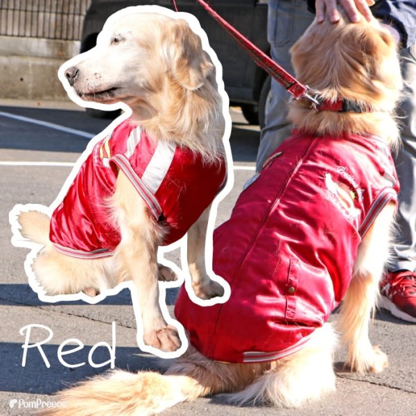 画像3: 【クリアランスセール】犬用ウエア 背中ジップアップで着せ易いスカジャン（中・大型犬用）【6〜10号】※返品・交換不可 (3)