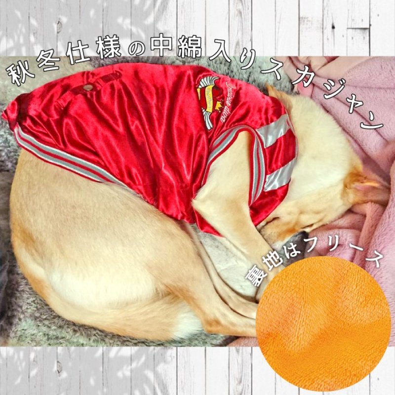 画像10: 【クリアランスセール】 中型・大型犬用 背中ジップアップで着せ易いスカジャン 【6〜10号】 ※返品交換不可 (10)