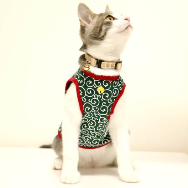 画像5: 【ポイント10倍で超お得!!会員様限定】猫用 唐草Tシャツ 【2〜4号】 (5)