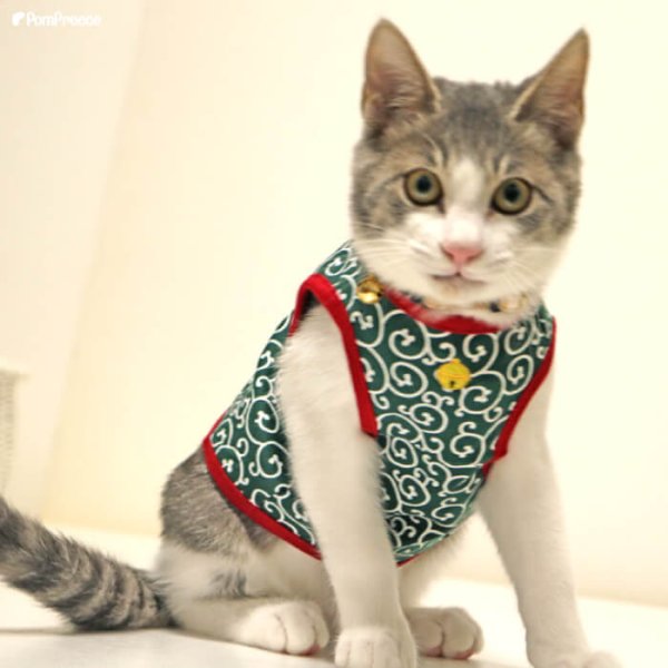 画像4: 【ポイント10倍で超お得!!会員様限定】猫用 唐草Tシャツ 【2〜4号】 (4)