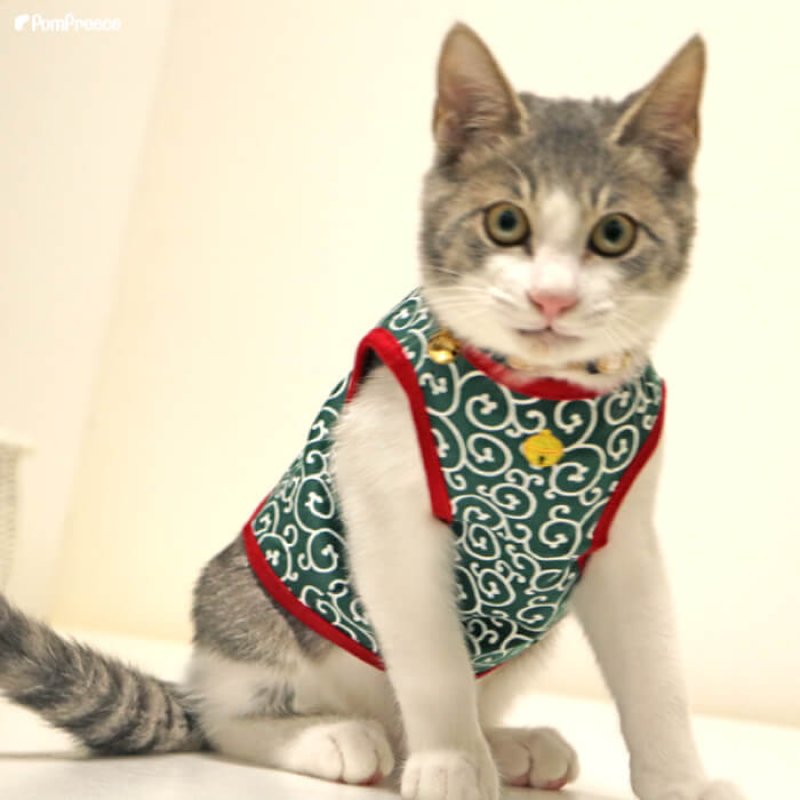 画像4: 【ポイント10倍で会員様はお得】猫用 唐草Tシャツ 【2〜4号】 (4)