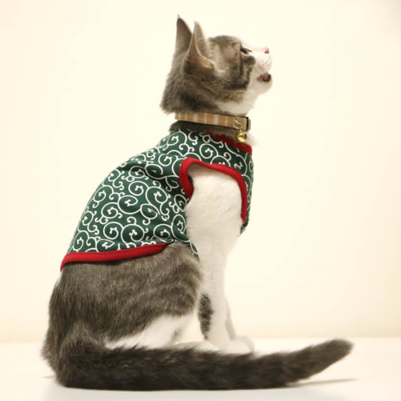 画像6: 【ポイント10倍で会員様はお得】猫用 唐草Tシャツ 【2〜4号】 (6)