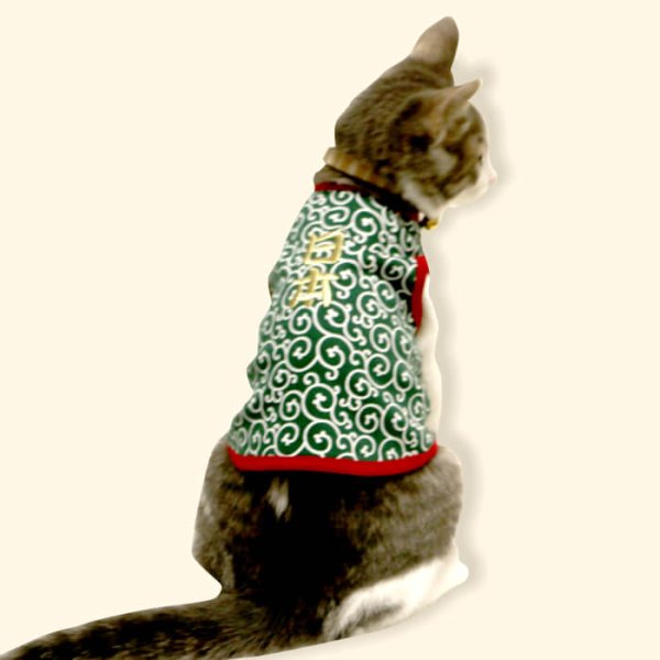 画像7: 【ポイント10倍で超お得!!会員様限定】猫用 唐草Tシャツ 【2〜4号】 (7)