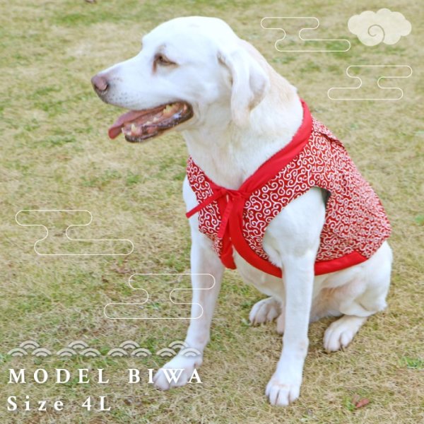 画像2: 【ポイント10倍で会員様はお得】 唐草ちゃんちゃんこ 【S・M】 (2)