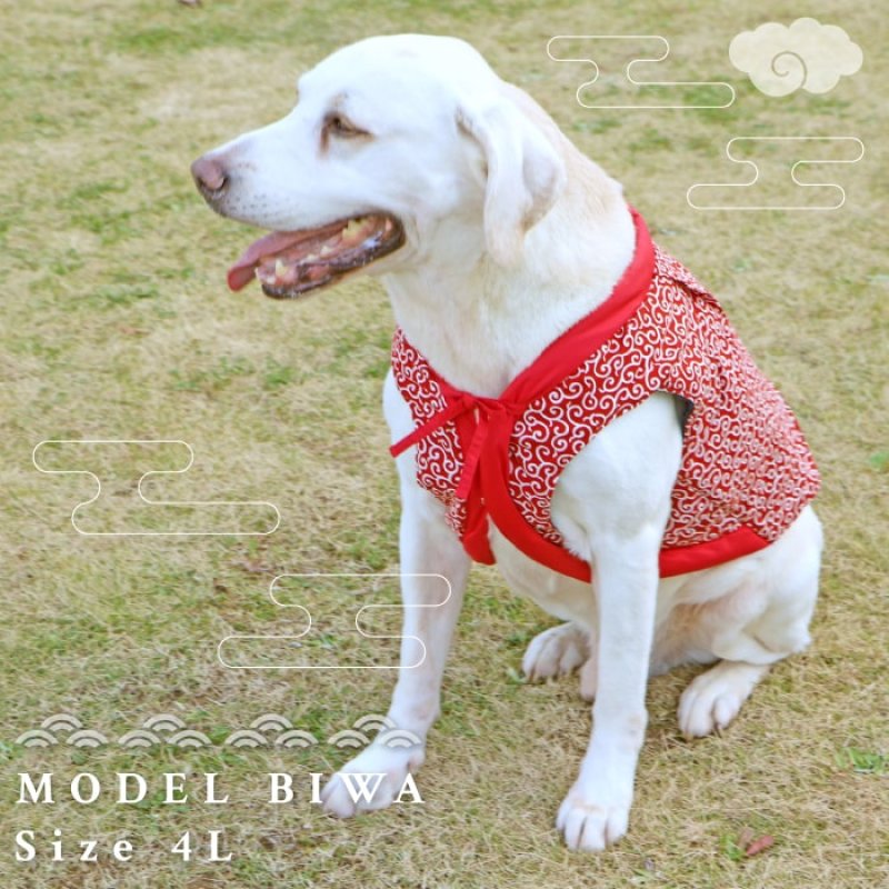 画像2: 【ポイント10倍で会員様はお得】 唐草ちゃんちゃんこ 【L】 (2)