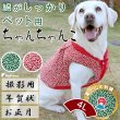 画像1: 【ポイント10倍で会員様はお得】 唐草ちゃんちゃんこ 【4L】 (1)
