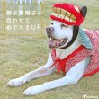 画像3: 【ポイント10倍で会員様はお得】 唐草ちゃんちゃんこ 【S・M】 (3)