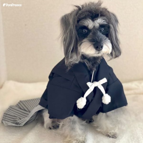 画像3: 【ポイント10倍で会員様はお得】 羽織はかま 【4号】 (3)