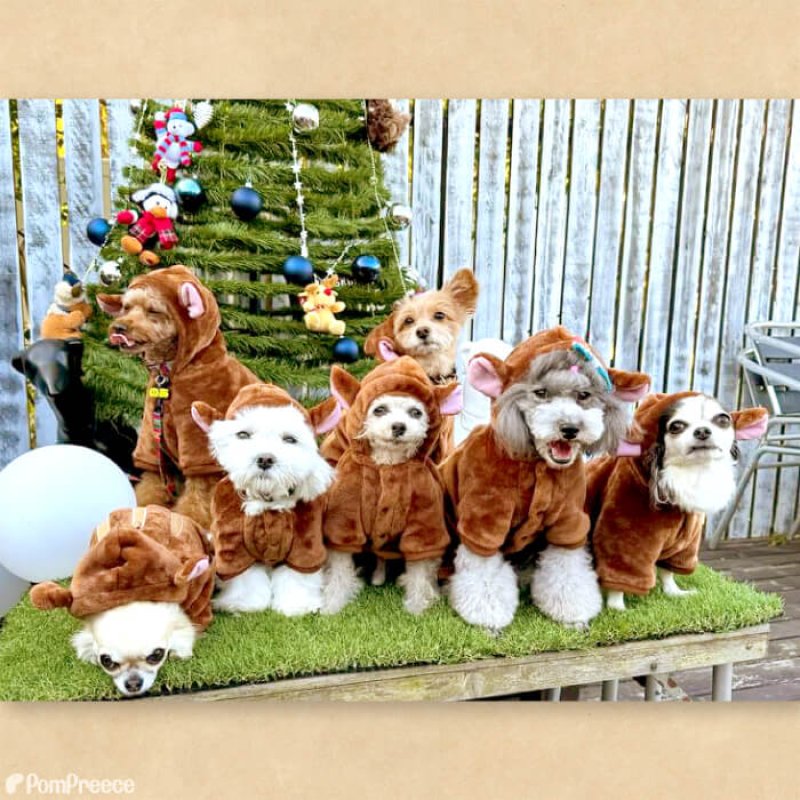 画像2: 【在庫処分セール品】アニマルパーカー 長袖もこもこウェアでほわほわ ルームウェアに可愛い ※返品交換不可 (2)