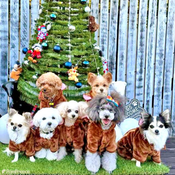 画像3: 【SALEでお得※在庫限りお早めに】アニマルパーカー！長袖もこもこウェアでほわほわ♪ルームウェアに可愛い【返品・交換不可】 (3)