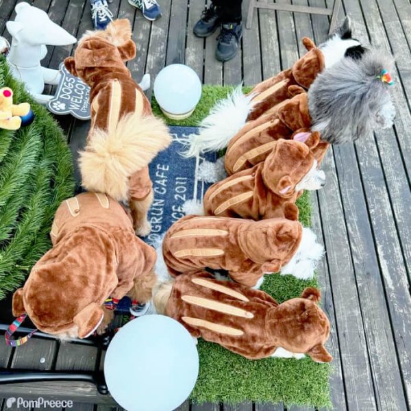 画像4: 【SALEでお得※在庫限りお早めに】アニマルパーカー！長袖もこもこウェアでほわほわ♪ルームウェアに可愛い【返品・交換不可】 (4)