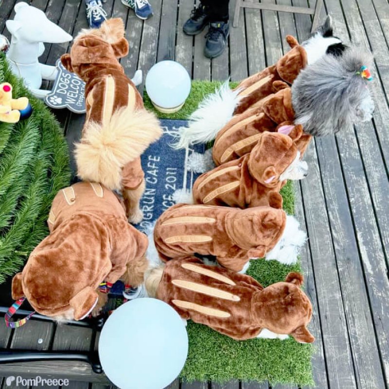 画像4: 【在庫処分セール品】アニマルパーカー 長袖もこもこウェアでほわほわ ルームウェアに可愛い ※返品交換不可 (4)