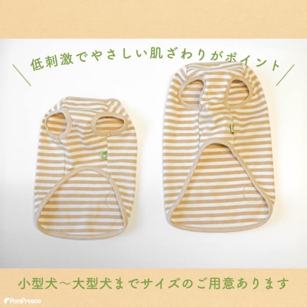 画像2: 【ポイント10倍で会員様はお得】NEW オーガニック Tシャツ シンプルボーダー【2号〜10号】 (2)