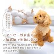画像3: 【ポイント10倍で会員様はお得】NEW オーガニック Ｔシャツ シンプルボーダー【2号〜10号】 (3)