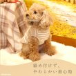 画像5: 【ポイント10倍で会員様はお得】NEW オーガニック Ｔシャツ シンプルボーダー【2号〜10号】 (5)