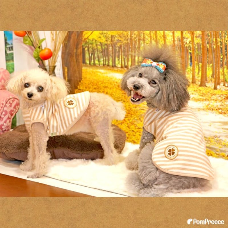 画像7: 【ポイント10倍で会員様はお得】オーガニック Ｔシャツ シンプルボーダー【2号〜10号】 (7)