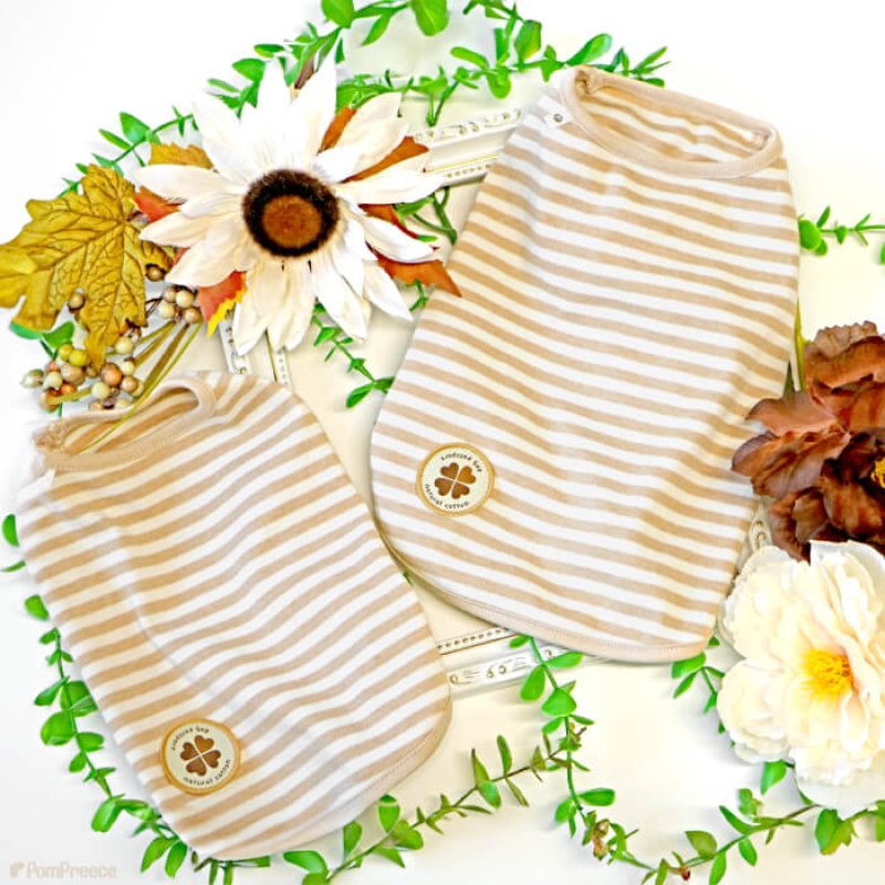 画像9: 【ポイント10倍で会員様はお得】オーガニック Ｔシャツ シンプルボーダー【2号〜10号】 (9)