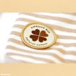 画像12: 【ポイント10倍で会員様はお得】NEW オーガニック Ｔシャツ シンプルボーダー【2号〜10号】 (12)