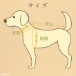 画像16: 【ポイント10倍で会員様はお得】NEW オーガニック Ｔシャツ シンプルボーダー【2号〜10号】 (16)