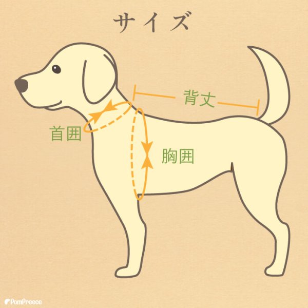 画像16: 【ポイント10倍で会員様はお得】NEW オーガニック Tシャツ シンプルボーダー【2号〜10号】 (16)