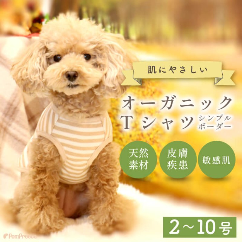 画像1: 【ポイント10倍で会員様はお得】NEW オーガニック Ｔシャツ シンプルボーダー【2号〜10号】 (1)