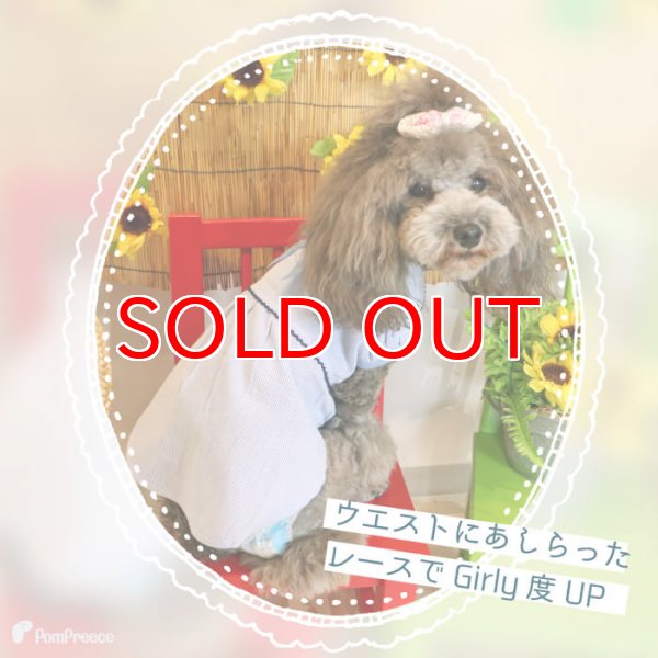 画像4: 【SALEでお得※在庫限りお早めに】レーストリミング 襟付き サマーワンピ 【1〜4号】 (4)