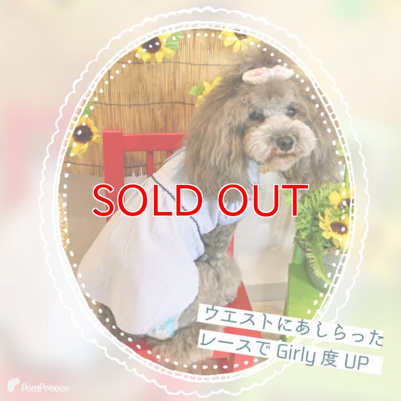 画像4: 【SALEでお得※在庫限りお早めに】レーストリミング 襟付き サマーワンピ 【1〜4号】 (4)