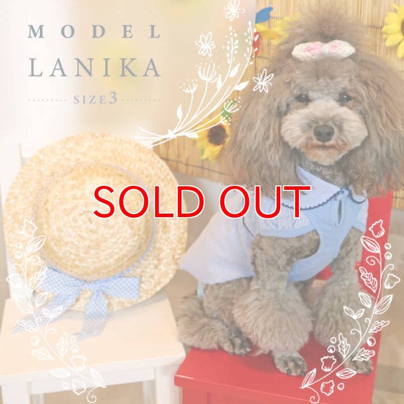 画像3: 【SALEでお得※在庫限りお早めに】レーストリミング 襟付き サマーワンピ 【1〜4号】 (3)