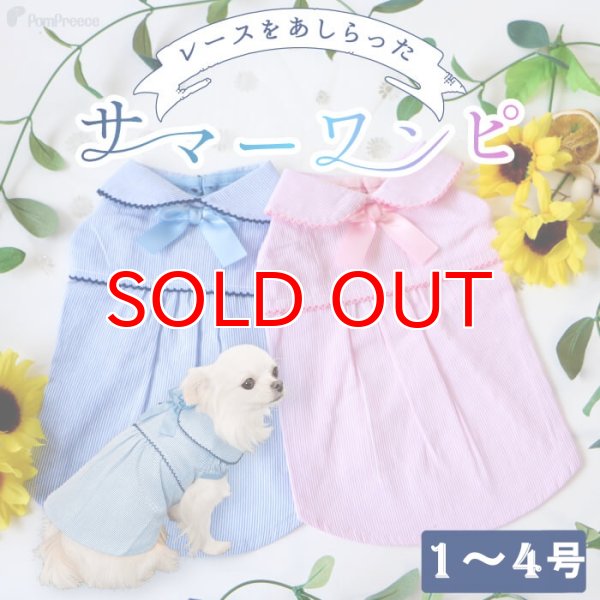 画像1: 【SALEでお得※在庫限りお早めに】レーストリミング 襟付き サマーワンピ 【1〜4号】 (1)