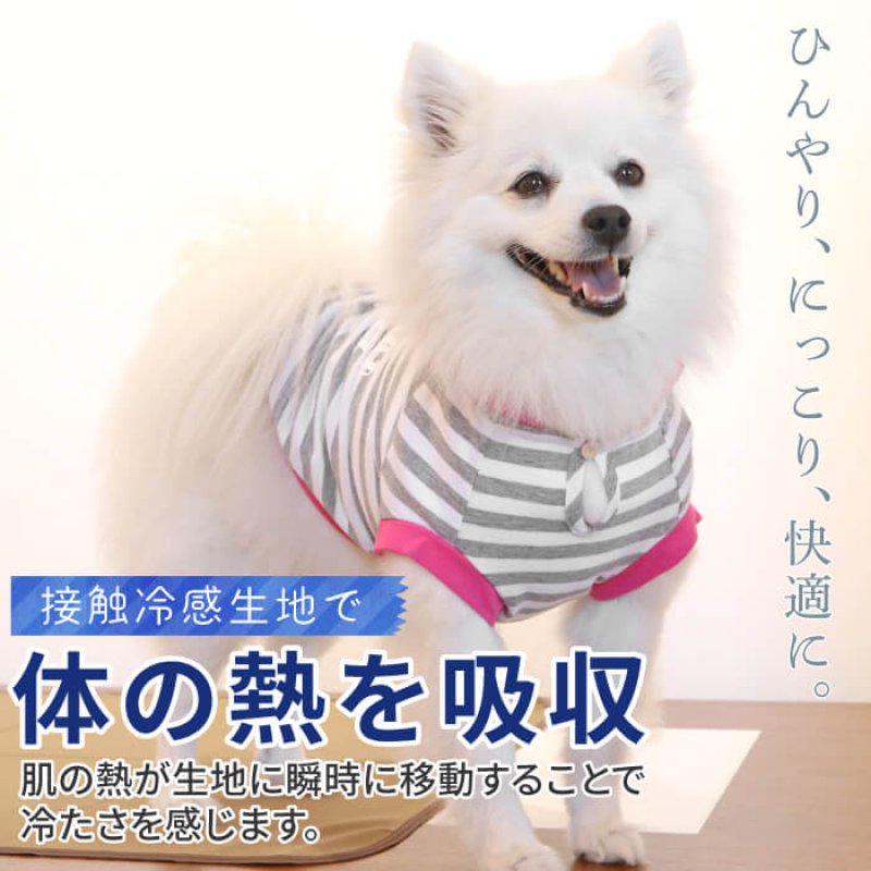 画像2: 【SALEでお得※在庫限りお早めに】   クール加工付ボーダーパーカー【2〜5号】 ※返品交換不可 (2)