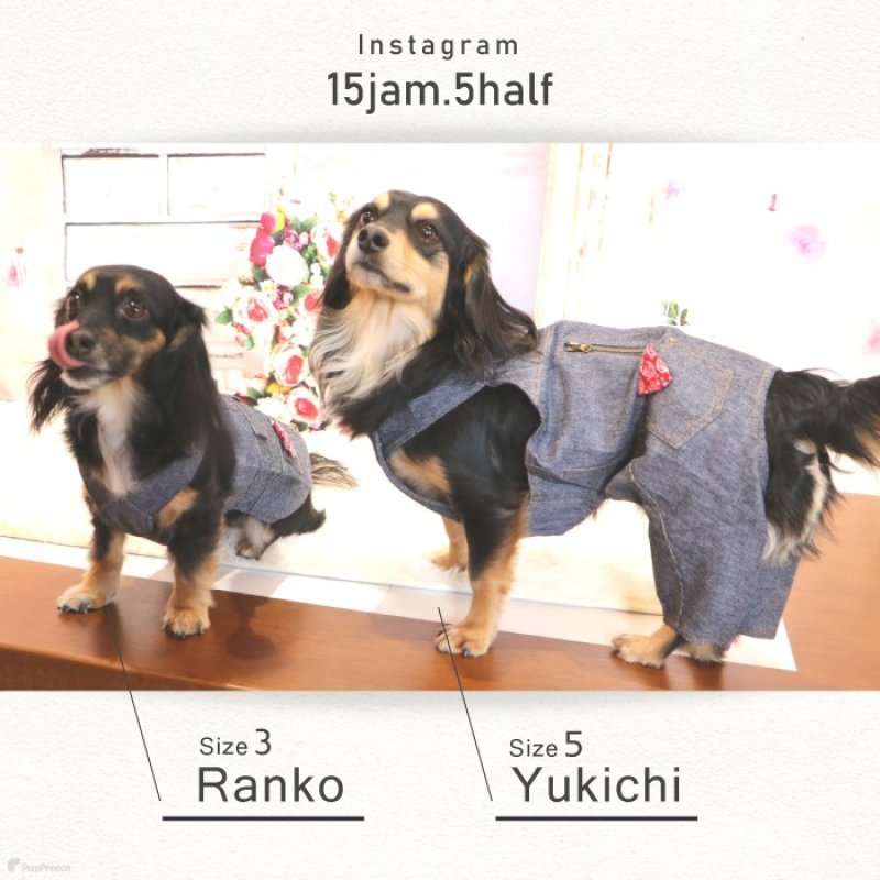 画像4: 【SALEでお得※在庫限りお早めに】ジャンパーパンツ【2〜5号】 (4)