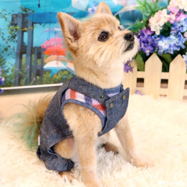 画像3: 【SALEでお得※在庫限りお早めに】ジャンパーパンツ【2〜5号】 (3)