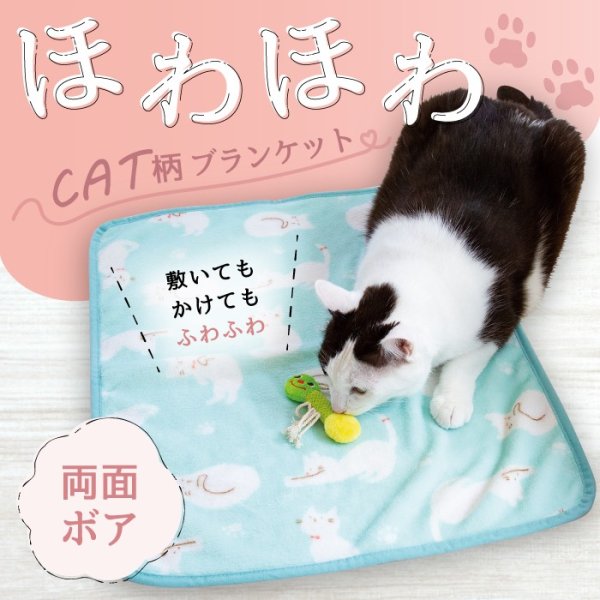 画像2: 【ポイント10倍で会員様はお得】 CATブランケット (2)