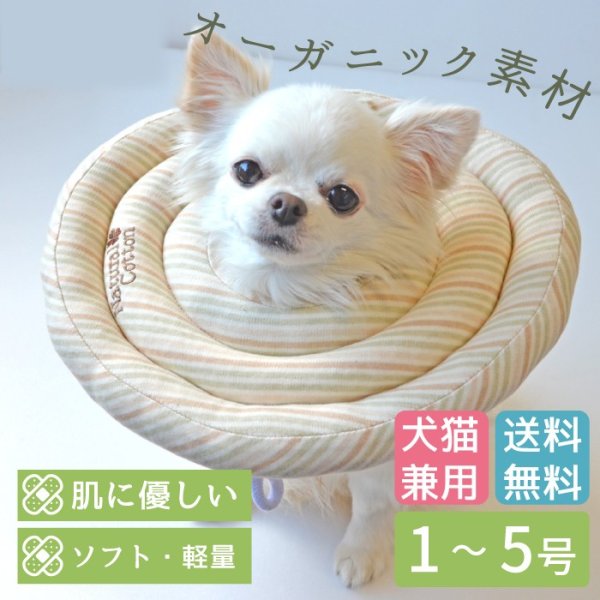 画像11: 【ポイント10倍で会員様はお得】  ドーナツエリザベスカラ-オーガニックボーダ-【1〜5号】ドーナツの輪が3つのタイプ (11)