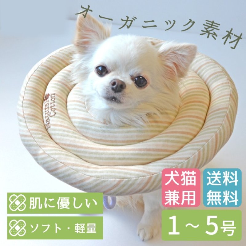 画像11: 犬猫兼用 ドーナツエリザベスカラー オーガニックボーダー【1〜5号】ドーナツの輪が3つのタイプ (11)