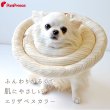 画像10: 【ポイント10倍で会員様はお得】  ドーナツエリザベスカラ-オーガニックボーダ-【1〜5号】ドーナツの輪が3つのタイプ (10)